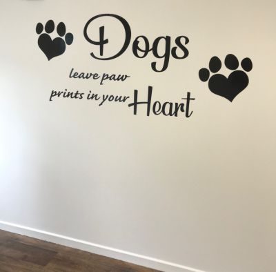 adhesive wall decals and graphics